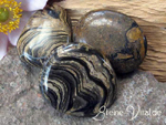 Stromatolith, durchbohrt